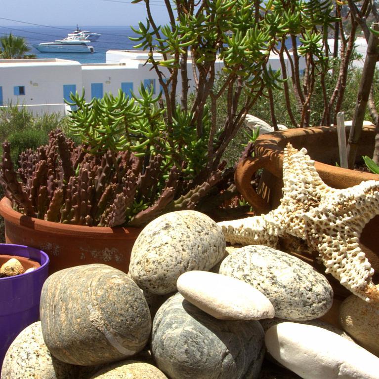 Studios Flora Manos Platys Gialos  Exterior photo